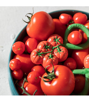 Tomato Rattle Toy